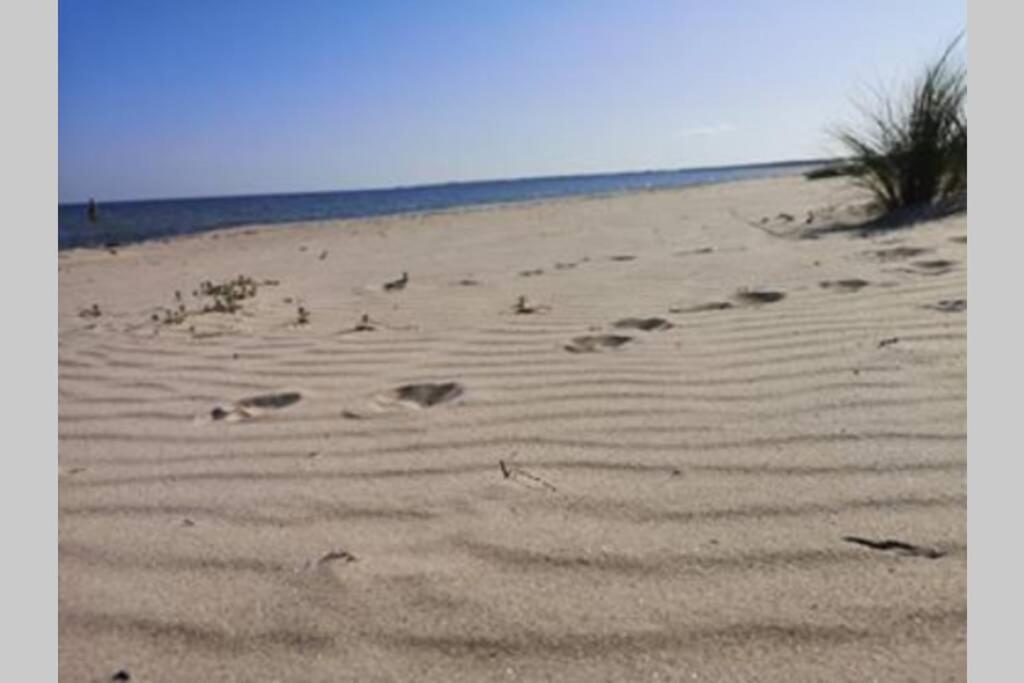 Villa Neptuni Rumsuthyrning Byxelkrok Esterno foto