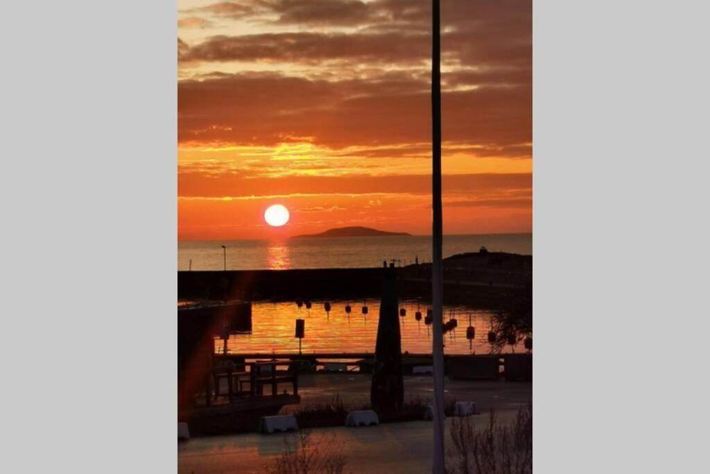 Villa Neptuni Rumsuthyrning Byxelkrok Esterno foto